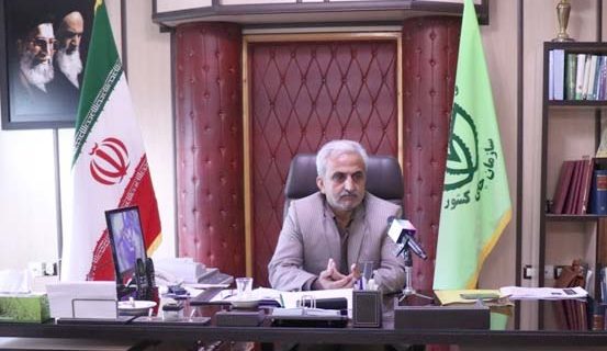بالغ بر 88 درصد مطالبات چایکاران شمال کشور پرداخت شده است