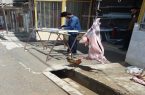 ذبح غیربهداشتی و غیرشرعی دام در جواهرده
