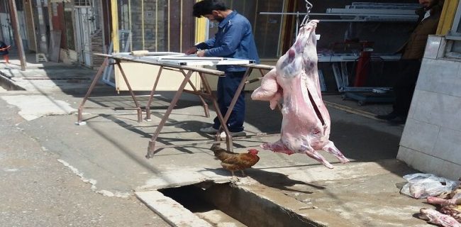 ذبح غیربهداشتی و غیرشرعی دام در جواهرده