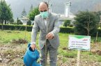 کاشت ۴ هزار اصله درخت صنوبر در اردوگاه میرزا کوچک خان رامسر