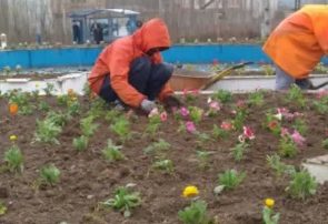 شهرداری رانکوه به استقبال از بهار می رود