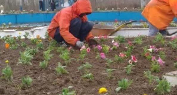 شهرداری رانکوه به استقبال از بهار می رود