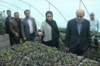بهره برداری از 7 پروژه کمیته امداد رودسر بهره برداری از 7 پروژه کمیته امداد رودسر